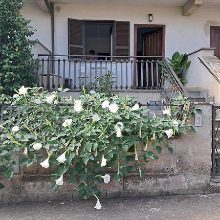 A Casa Ida Apartman Bagnoregio Kültér fotó