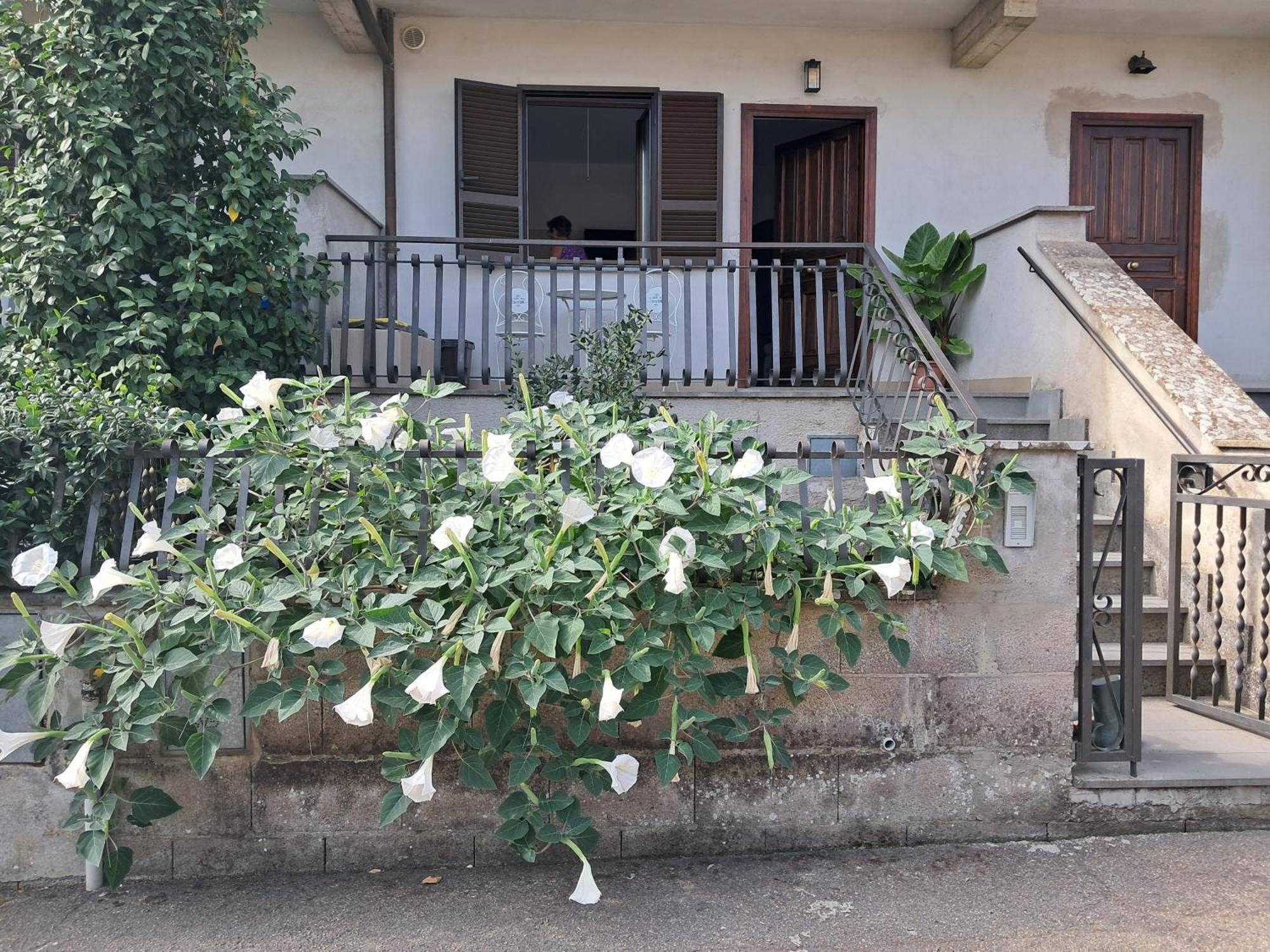 A Casa Ida Apartman Bagnoregio Kültér fotó